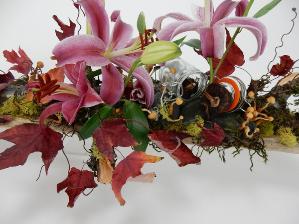 Grape vine tendrils on the autumn design Grape vine tendrils on the autumn design
