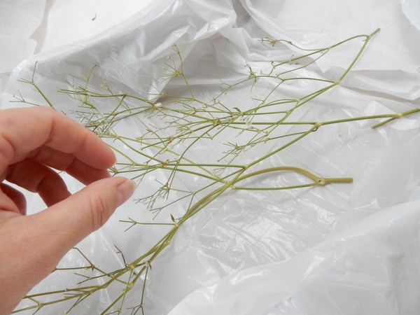 Keep adding stems Keep adding stems