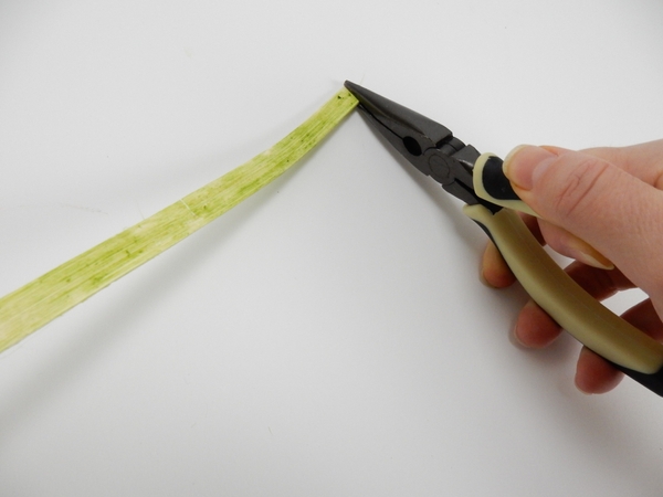 Pinch the cane with the pliers Pinch the cane with the pliers