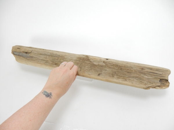 Place a piece of hollowed out driftwood on a stable base Place a piece of hollowed out driftwood on a stable base