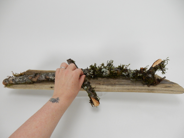 Place moss covered sticks on the driftwood