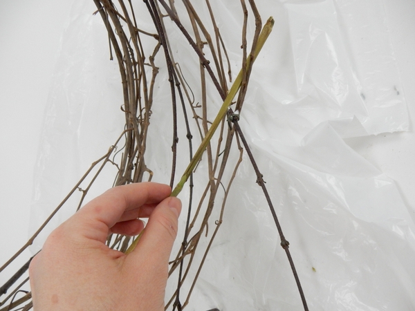 Press the stem end of decorative grass through the vine Press the stem end of decorative grass through the vine