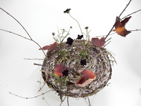 Round armature with fall leaves and chocolate cosmos Round armature with fall leaves and chocolate cosmos