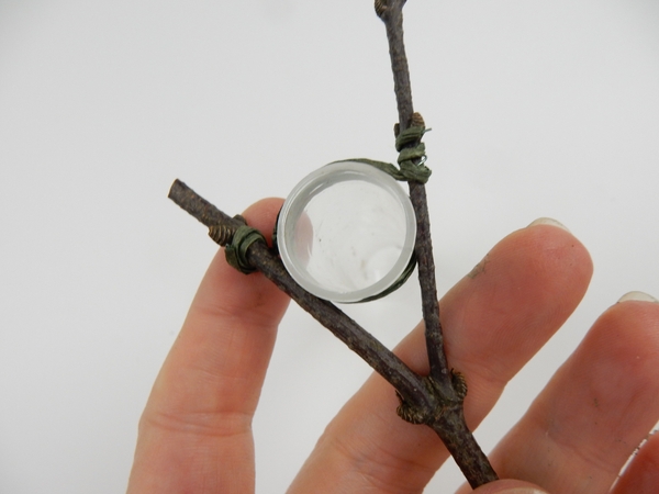 Secure to the fork in a twig Secure to the fork in a twig