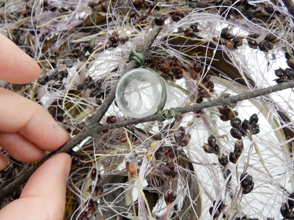 Sink the tube into the design to nestle on the twigs Sink the tube into the design to nestle on the twigs