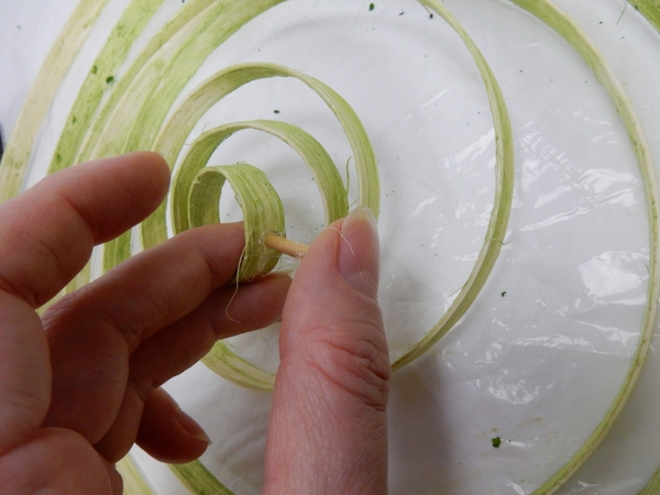 Start in the inside of the cane and glue in sticks to seperate the coil Start in the inside of the cane and glue in sticks to seperate the coil