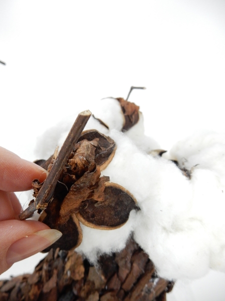 Add visual interest by gluing a few more pods Add visual interest by gluing a few more pods
