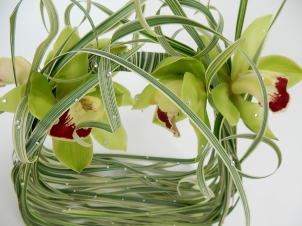 Cymbidium orchids and curled grass Cymbidium orchids and curled grass