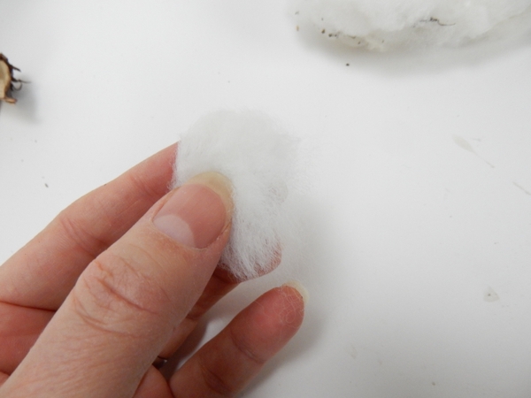 Feel around in the fluff until you find the seed is in the middle of the bit of fluff Feel around in the fluff until you find the seed is in the middle of the bit of fluff