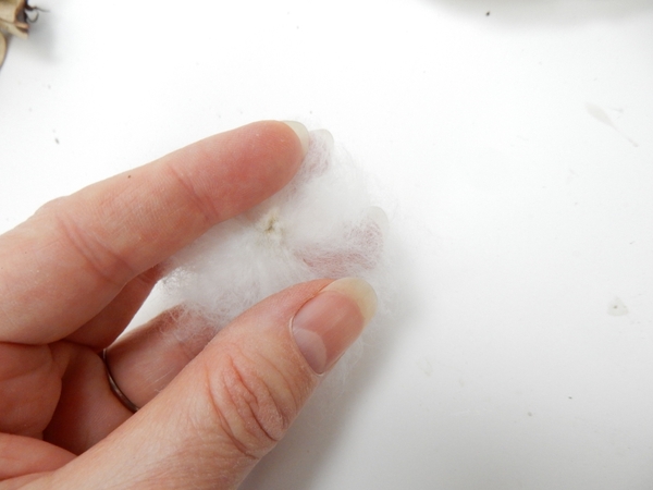 Gently pull the fluff from the seed without ripping it Gently pull the fluff from the seed without ripping it
