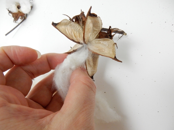 It comes out easily leaving the pods cleanly It comes out easily leaving the pods cleanly