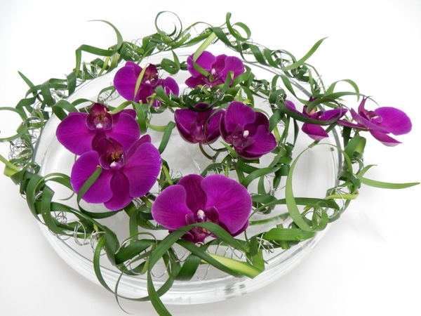 Coiled wire, Phalaenopsis orchids and curled lily grass flower frog Coiled wire, Phalaenopsis orchids and curled lily grass flower frog