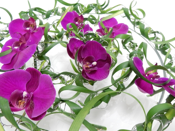 Coiled wire, Phalaenopsis orchids and curled lily grass Coiled wire, Phalaenopsis orchids and curled lily grass