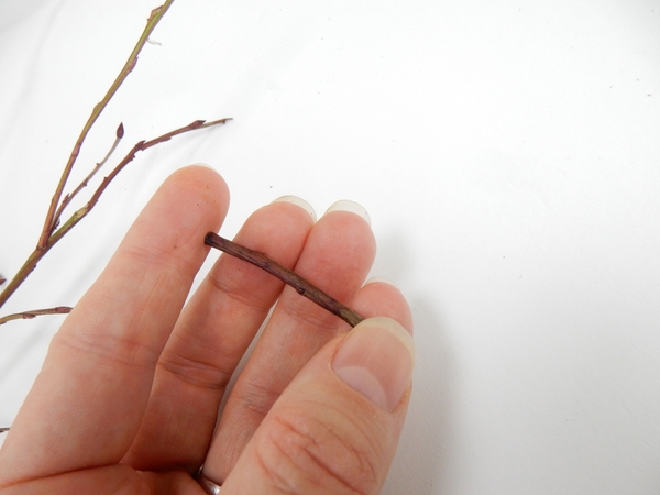 Cut a short twig Cut a short twig