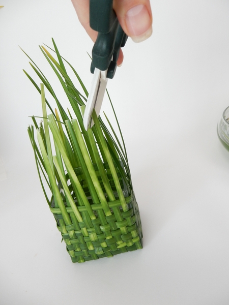 Give the grass another cut Give the grass another cut