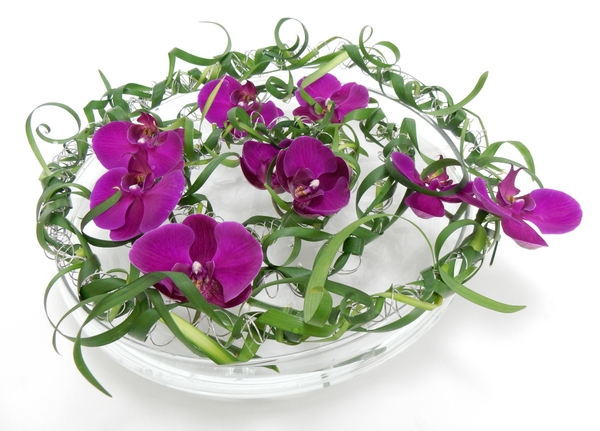 Not yet Spring, Spring but a spring floral art design Not yet Spring, Spring but a spring floral art design