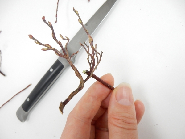 Slip the twig into the slit Slip the twig into the slit