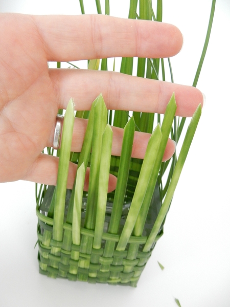 So that the blunt ends now look just like the natural points of the blades of grass So that the blunt ends now look just like the natural points of the blades of grass