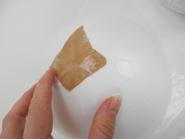 Soak the brown paper in the thinned glue and smooth it to cover the shape Soak the brown paper in the thinned glue and smooth it to cover the shape