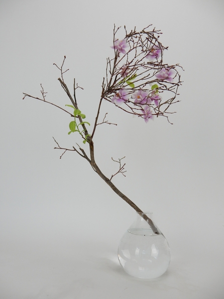 Darling Phalaenopsis orchids in a twig heart and sparkling beads Darling Phalaenopsis orchids in a twig heart and sparkling beads