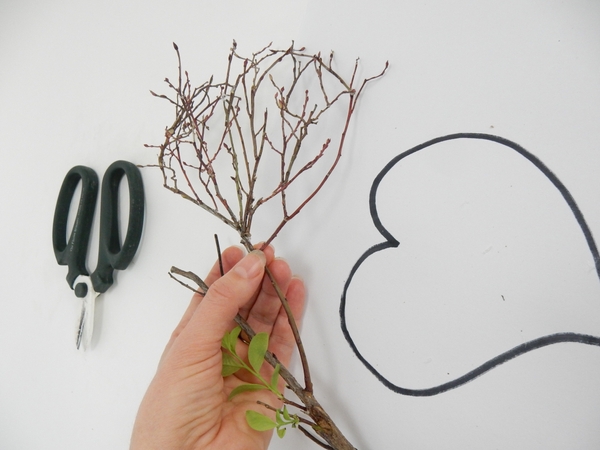 Glue the twig heart on to a sprouting twig Glue the twig heart on to a sprouting twig