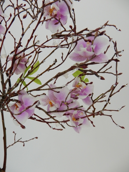 Phalaenopsis orchids in a twig heart and sparkling beads Phalaenopsis orchids in a twig heart and sparkling beads