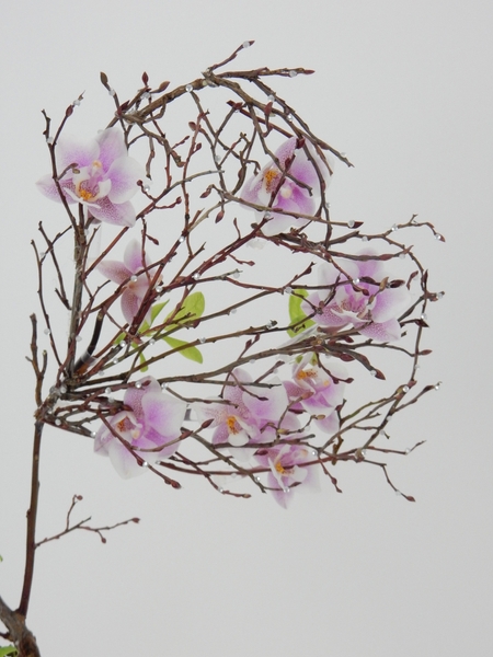 Phalaenopsis orchids in a twig heart Phalaenopsis orchids in a twig heart
