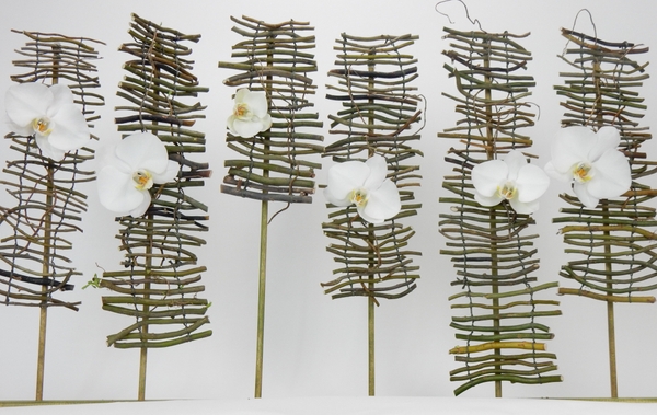 Phalaenopsis orchids on twig steps design. Phalaenopsis orchids on twig steps design.