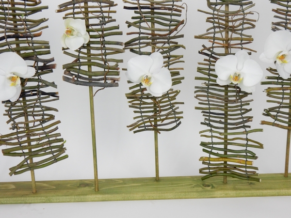 Phalaenopsis orchids on twig steps Phalaenopsis orchids on twig steps