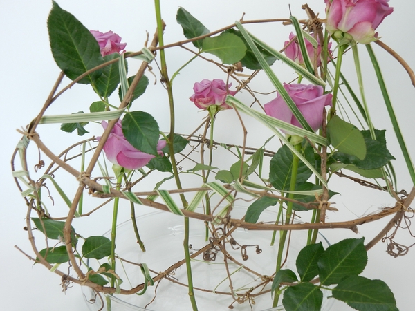 Roses, grapevine and lily grass Roses, grapevine and lily grass