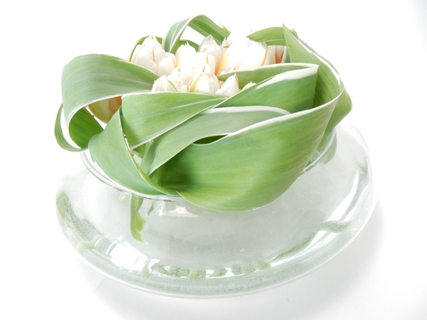 Short stem tulip design Short stem tulip design