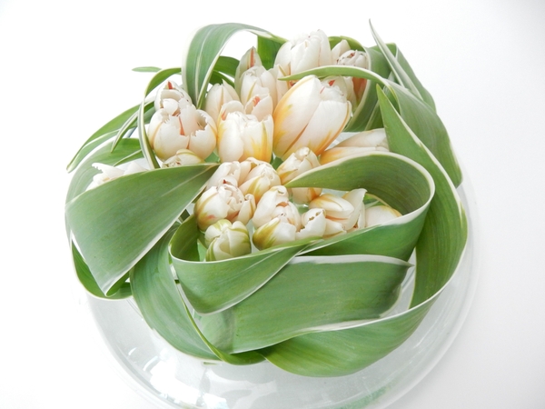 Tulips Tulips