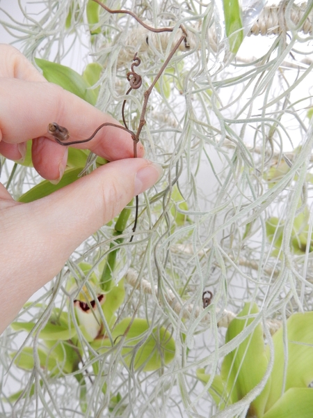 Add a few vine tendrils for contrast Add a few vine tendrils for contrast
