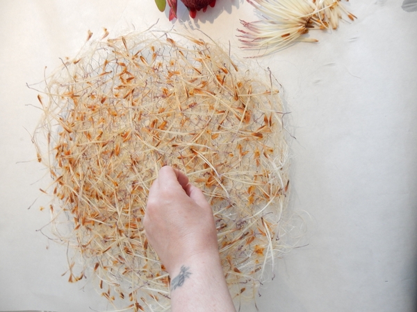 Dip the tepals of a protea flower in thinned glue and scatter to conceal the wire Dip the tepals of a protea flower in thinned glue and scatter to conceal the wire