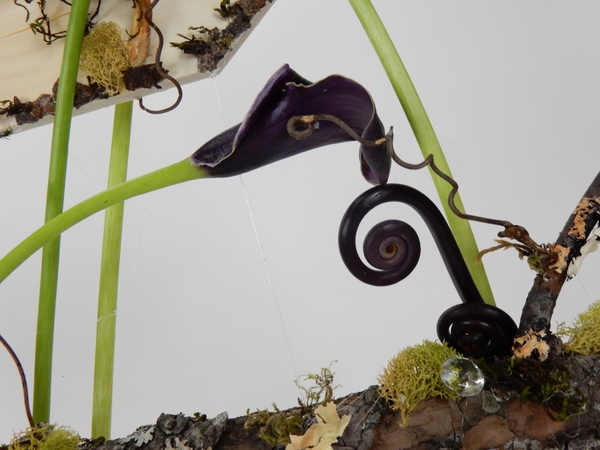 Fern Fonds Fern Fonds