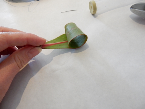 Leaf curl ready to design with Leaf curl ready to design with