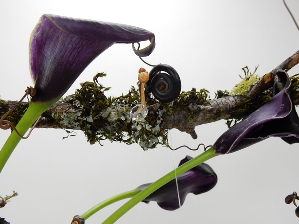 Mossy twigs and crystals