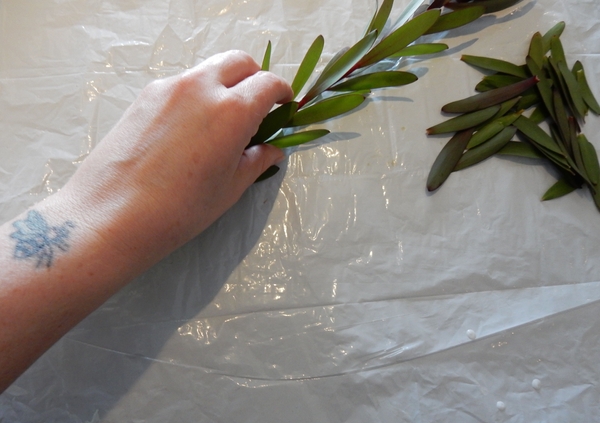 Remove the leaves from the stems. Remove the leaves from the stems.