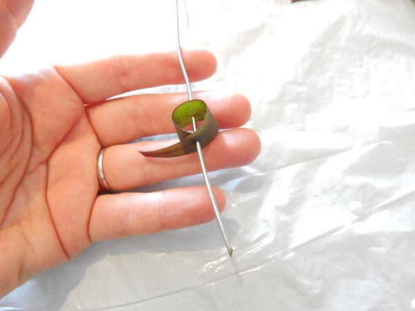 Roll the Leucadendron leave and skewer with the wire Roll the Leucadendron leave and skewer with the wire