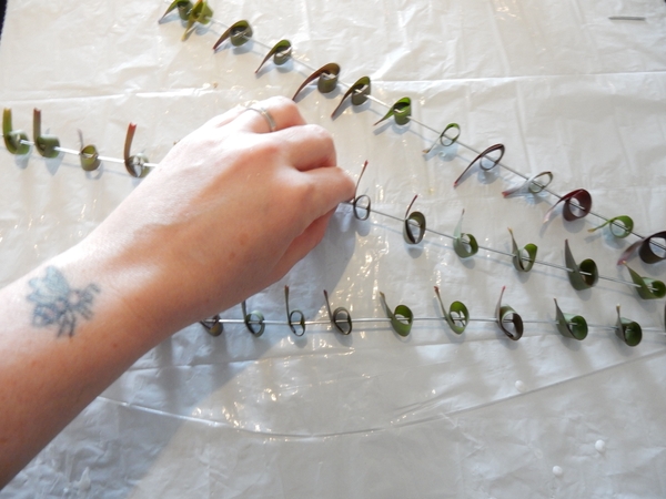 Rolled Leucadendron leaf skewers Rolled Leucadendron leaf skewers