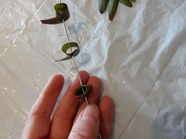 Thread the leaves on the wire and space it apart Thread the leaves on the wire and space it apart