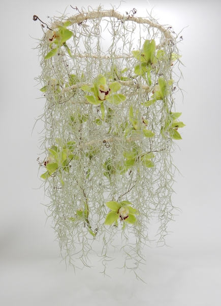 Tillandsia Usneoides and Cymbidium chandelier Tillandsia Usneoides and Cymbidium chandelier