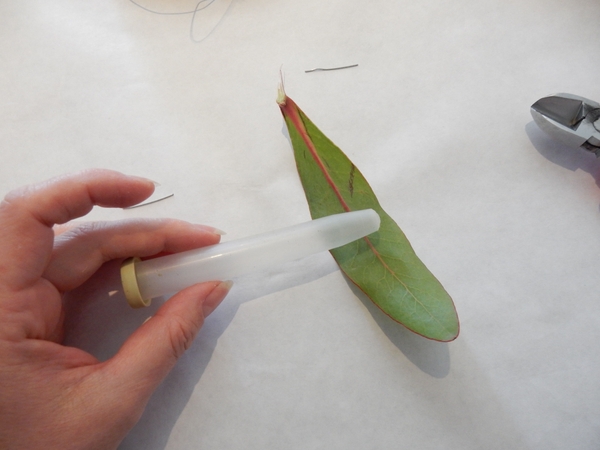 To make it easier to roll a lot of the leaves choose something round to roll the leaves over