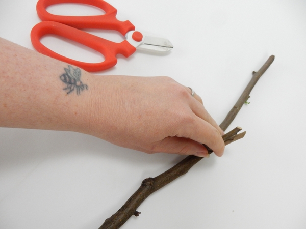 Cut a twig Cut a twig
