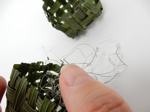 And place the seed on the wire And place the seed on the wire