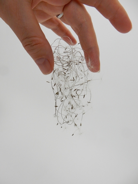 Create a fluffy seed puff that does not blow away Create a fluffy seed puff that does not blow away