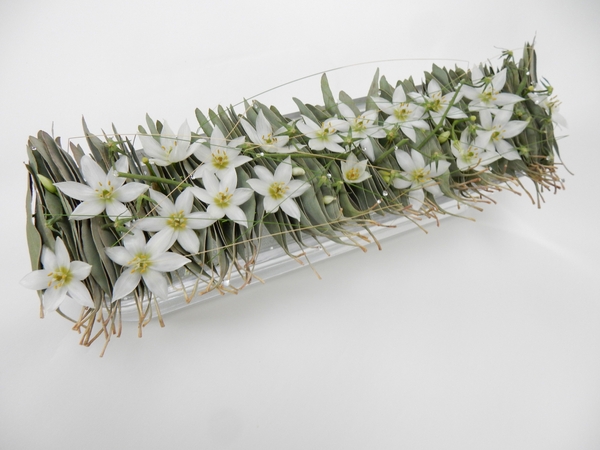 Eucomis and Eucalyptus and tomato stems and grass in a glass container