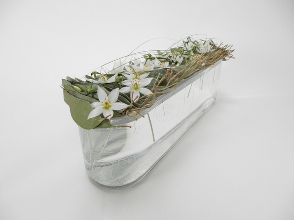 Eucomis and Eucalyptus in a glass container Eucomis and Eucalyptus in a glass container