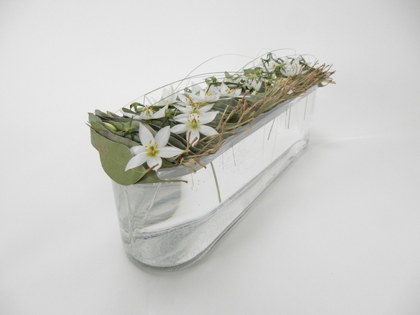 Eucomis and Eucalyptus in a glass container