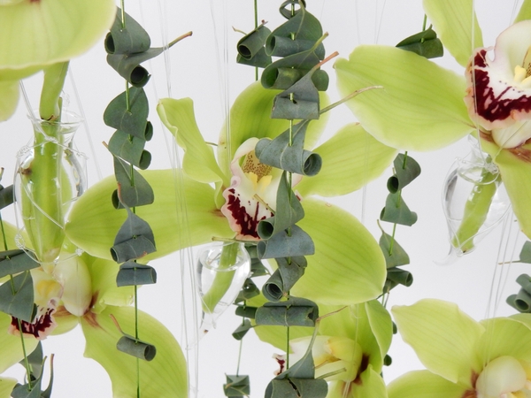 Green Cymbidiums and Eucalyptus flower curtain. Green Cymbidiums and Eucalyptus flower curtain.
